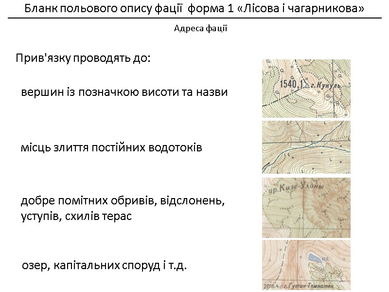 Бланк польового опису фації  форма 1 «Лісова і чагарникова»    __________________________________________________________